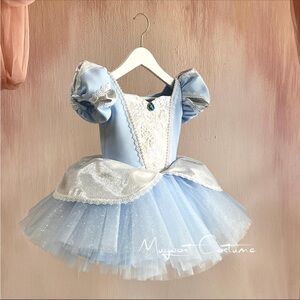 Disney Cinderella Princess Costume Dress